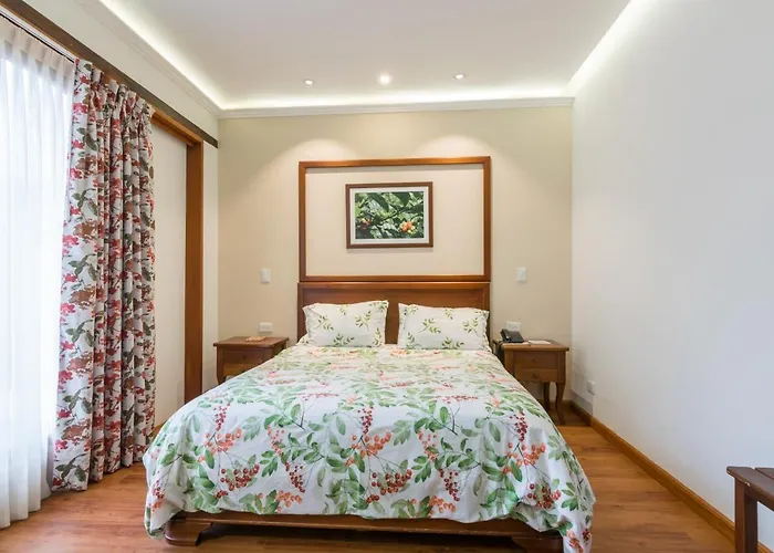 La Casa Del Arbol Hotel Boutique Villa De Leyva